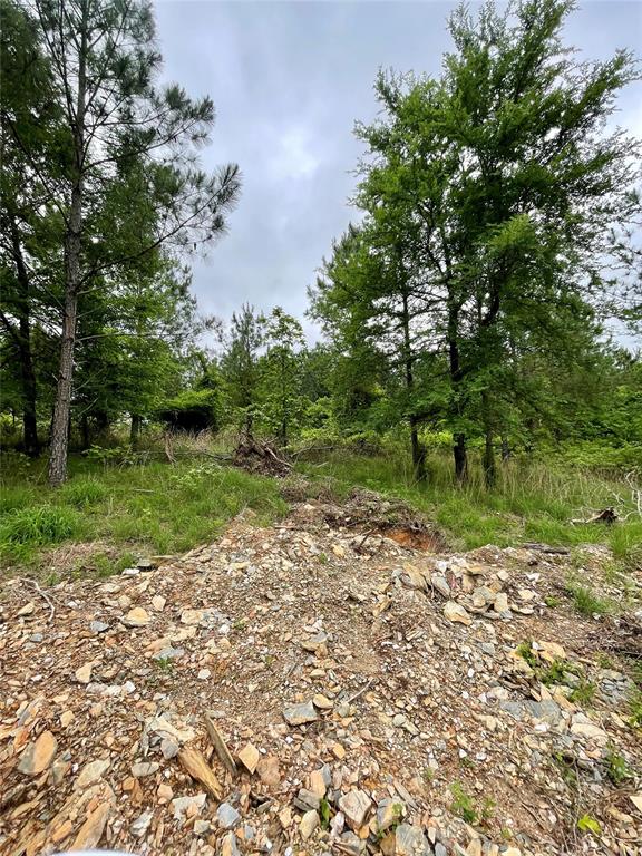 669 Timber Creek Trails South XI