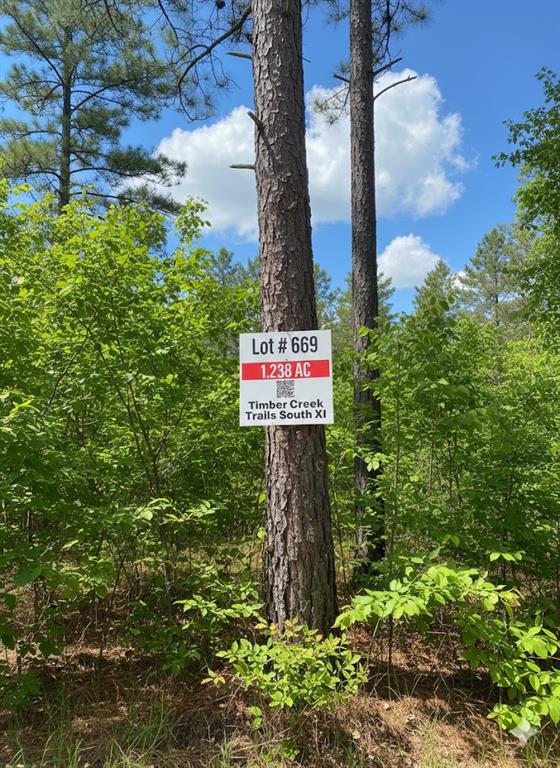 669 Timber Creek Trails South XI