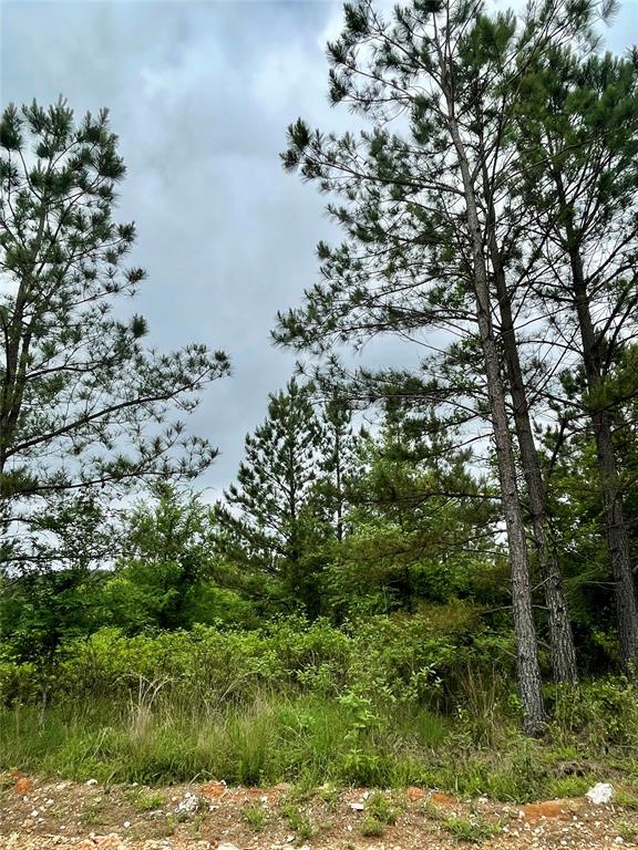 672 Timber Creek Trails South XI