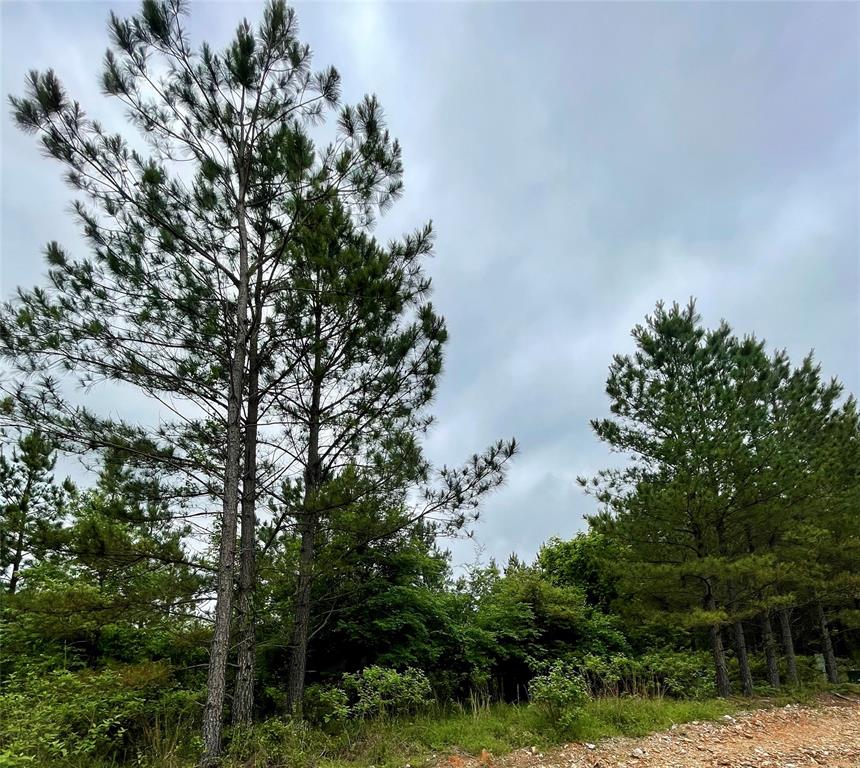 672 Timber Creek Trails South XI