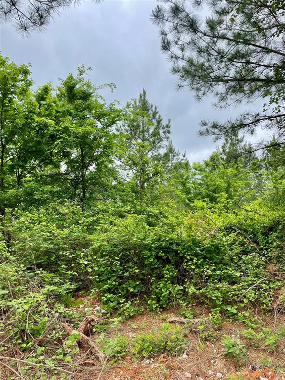 672 Timber Creek Trails South XI