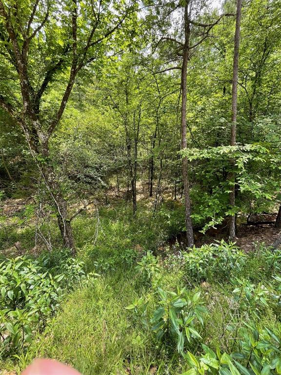675 Timber Creek Trails South XI