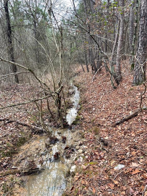 675 Timber Creek Trails South XI