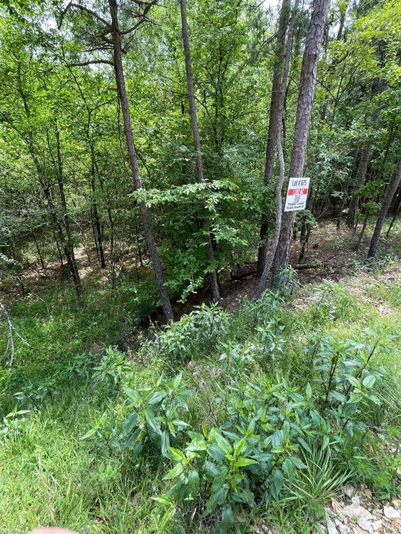 675 Timber Creek Trails South XI