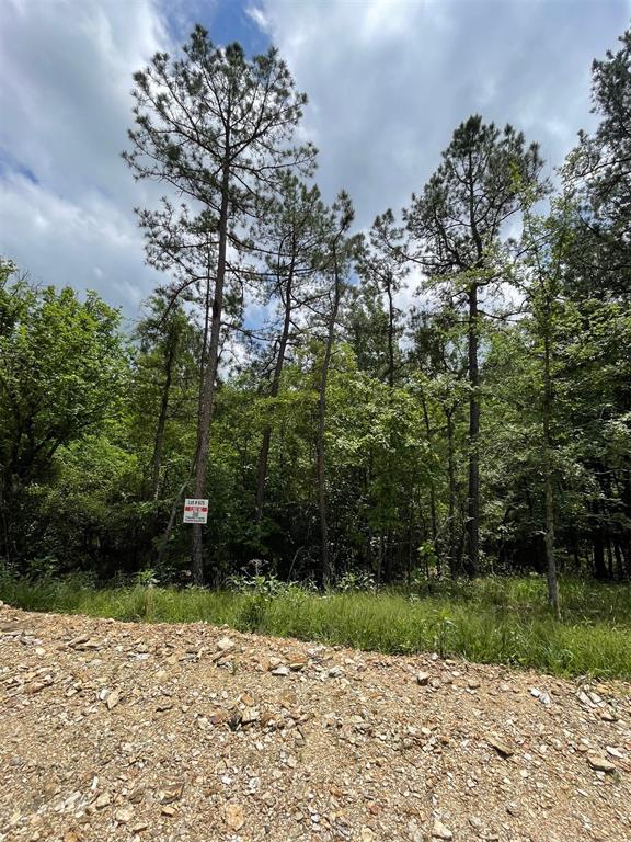 675 Timber Creek Trails South XI