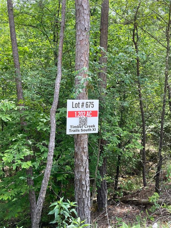 675 Timber Creek Trails South XI