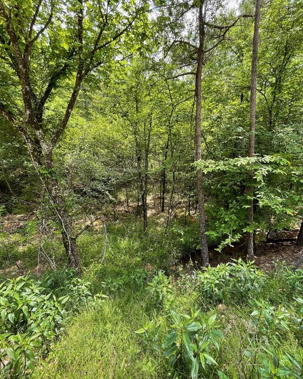 675 Timber Creek Trails South XI