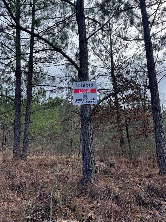 676 Timber Creek Trails South XI