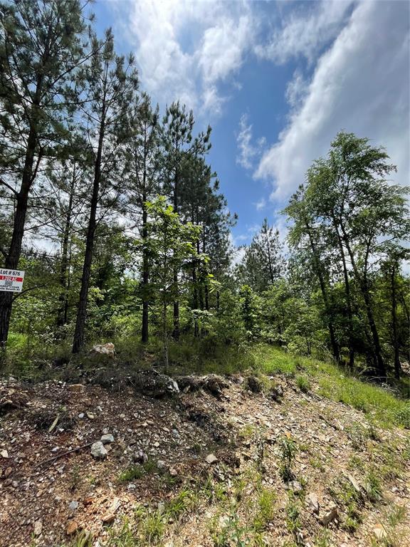 676 Timber Creek Trails South XI