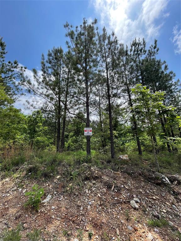 676 Timber Creek Trails South XI