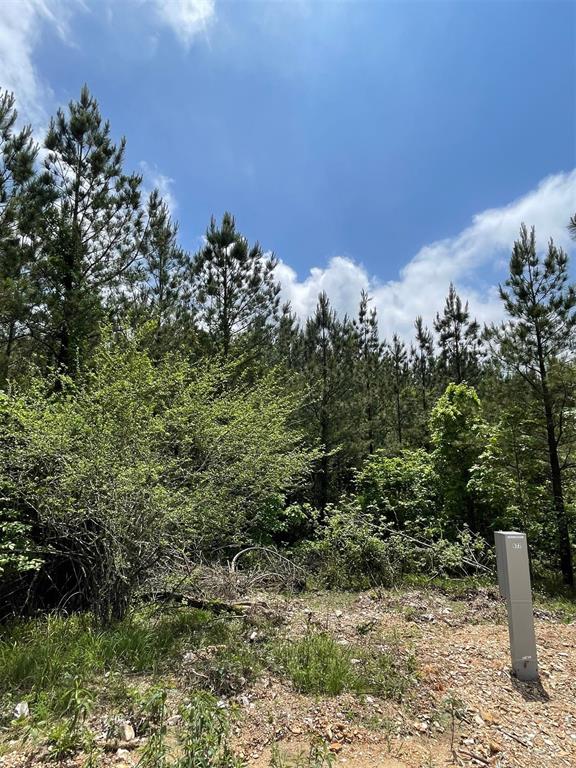677 Timber Creek Trails South XI