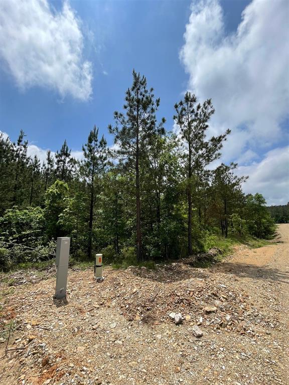 677 Timber Creek Trails South XI