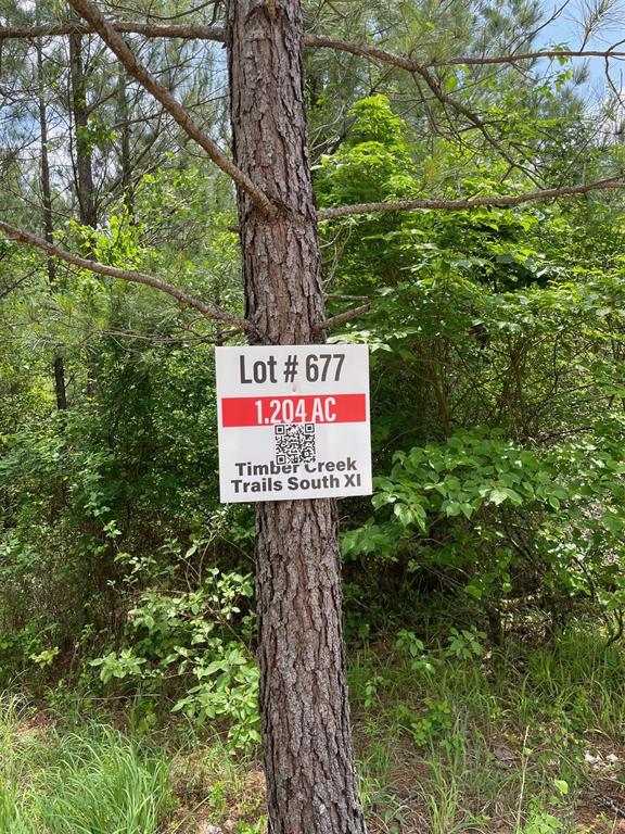 677 Timber Creek Trails South XI