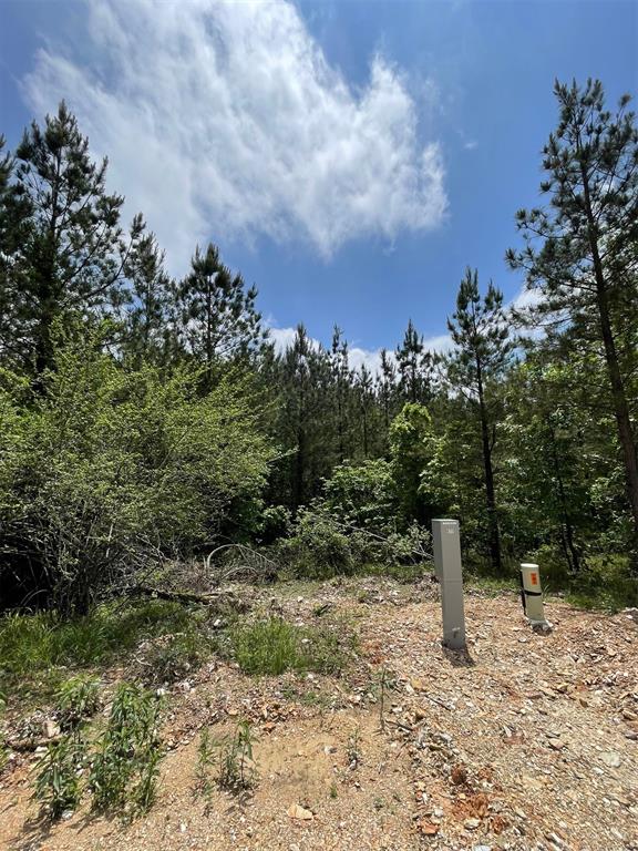 677 Timber Creek Trails South XI