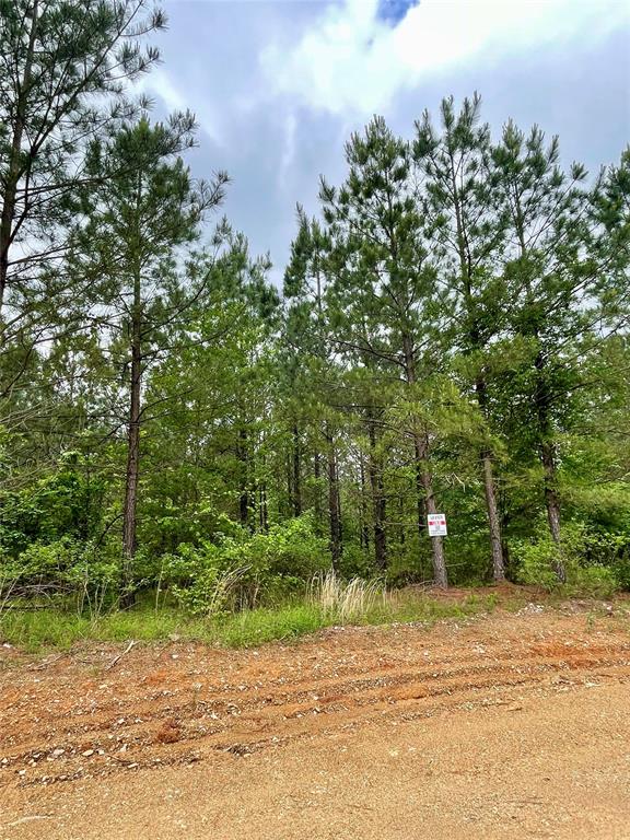 678 Timber Creek Trails South XI