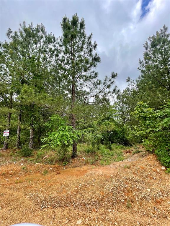 678 Timber Creek Trails South XI