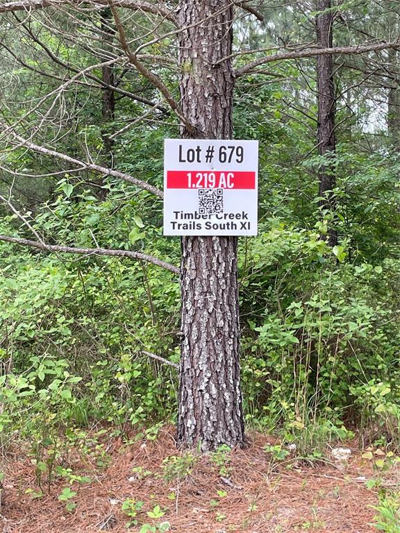 679 Timber Creek Trails South XI