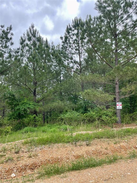 679 Timber Creek Trails South XI
