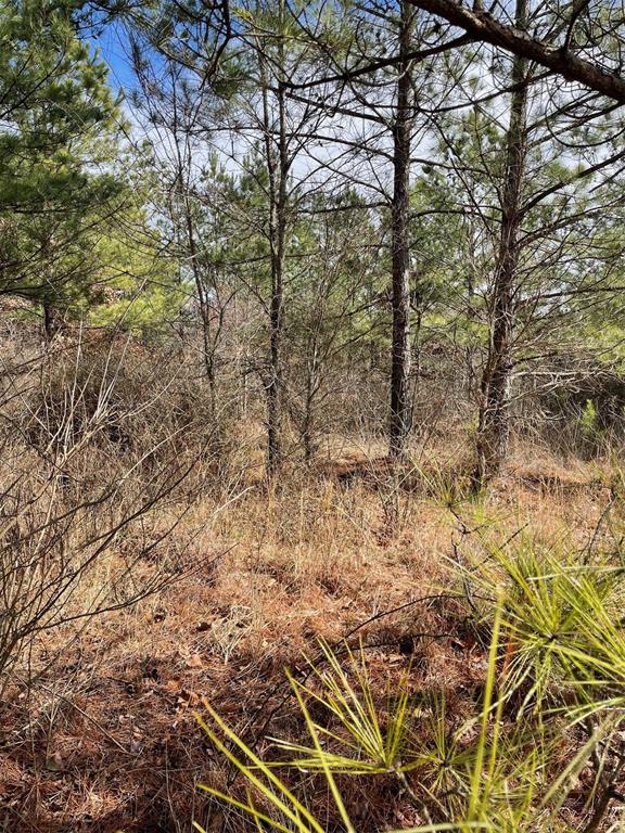 680 Timber Creek Trails South XI