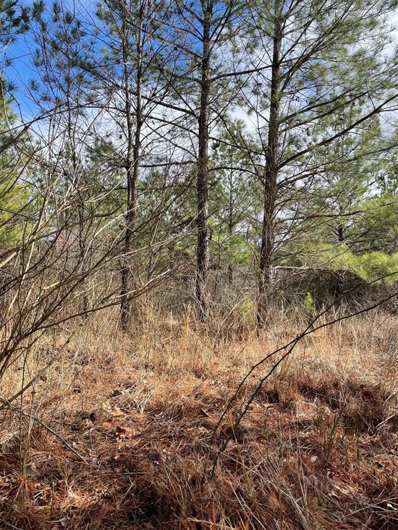 680 Timber Creek Trails South XI