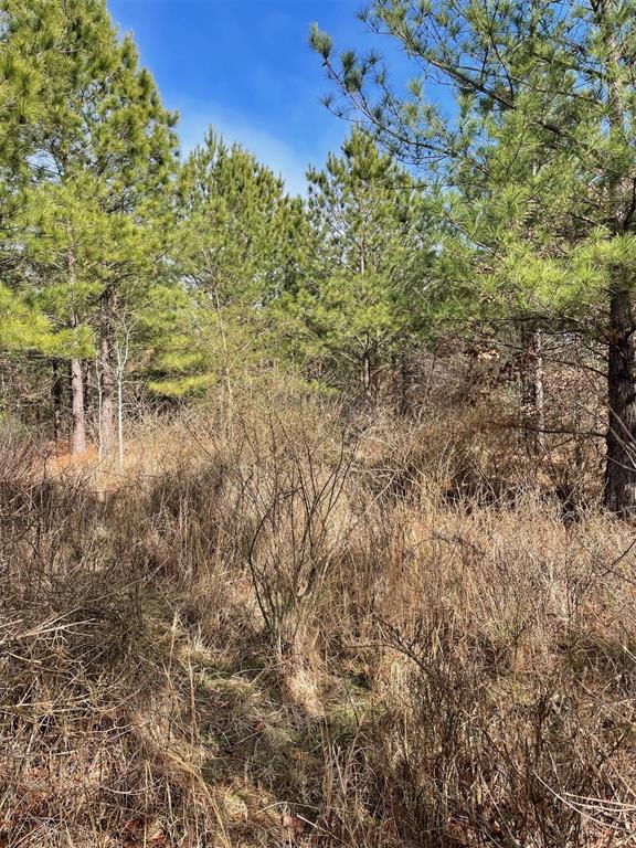 680 Timber Creek Trails South XI