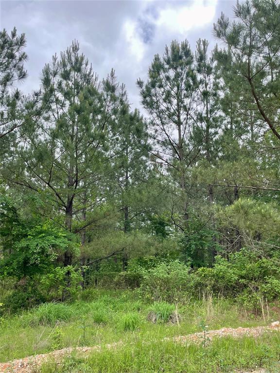 681 Timber Creek Trails South XI