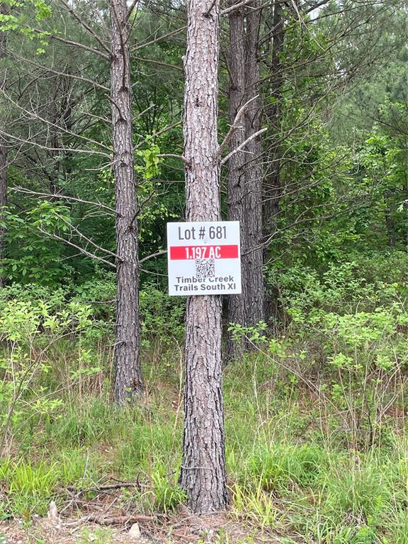 681 Timber Creek Trails South XI