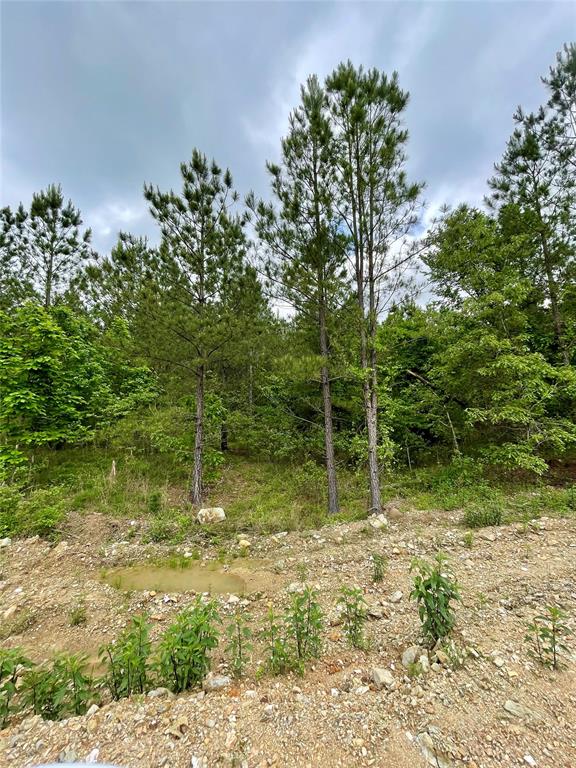 681 Timber Creek Trails South XI