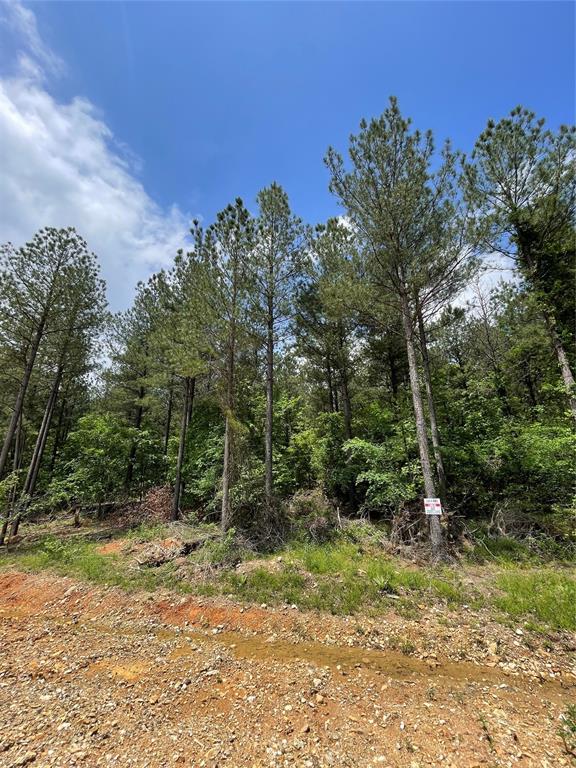 683 Timber Creek Trails South XI