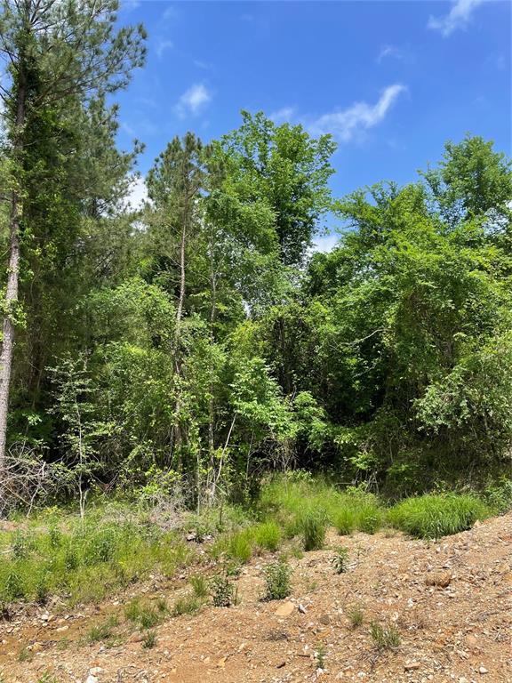 683 Timber Creek Trails South XI
