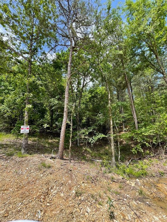684 Timber Creek Trails South XI