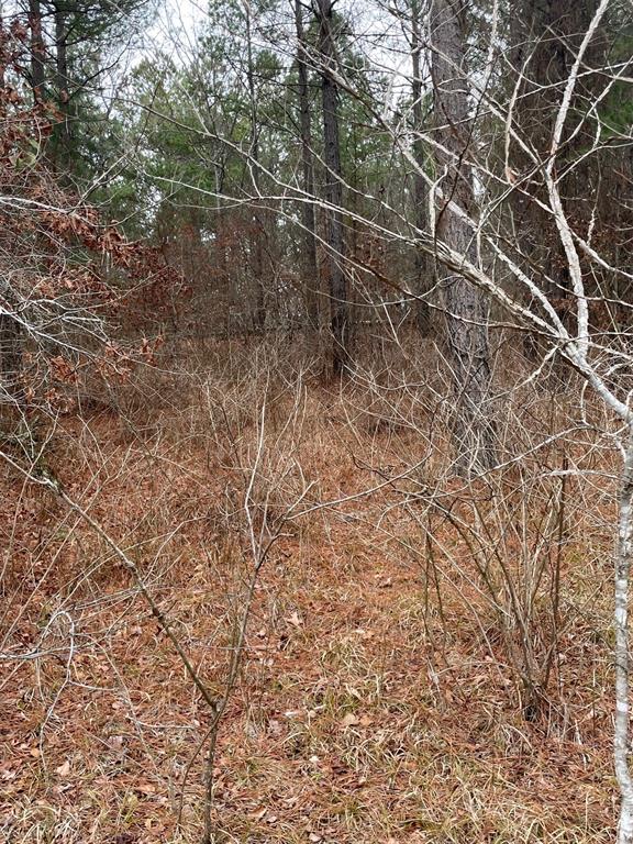 685 Timber Creek Trails South XI