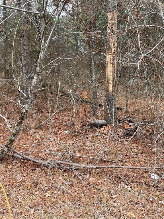 685 Timber Creek Trails South XI