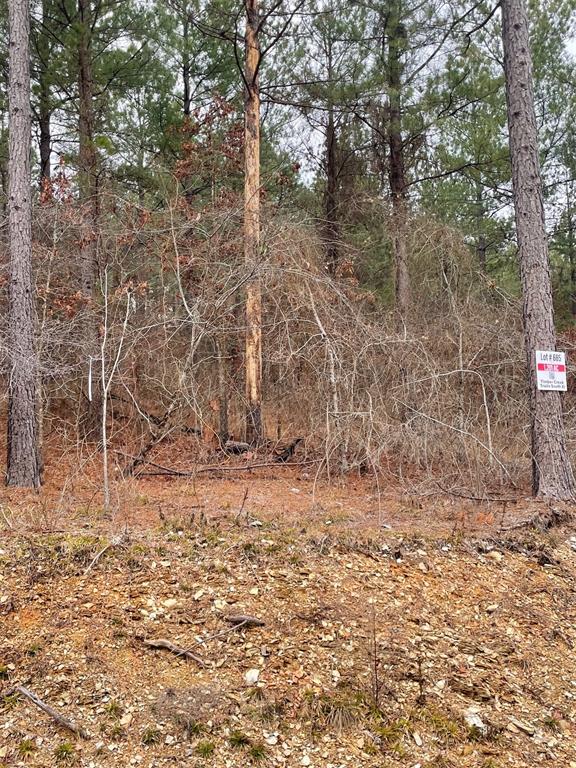 685 Timber Creek Trails South XI