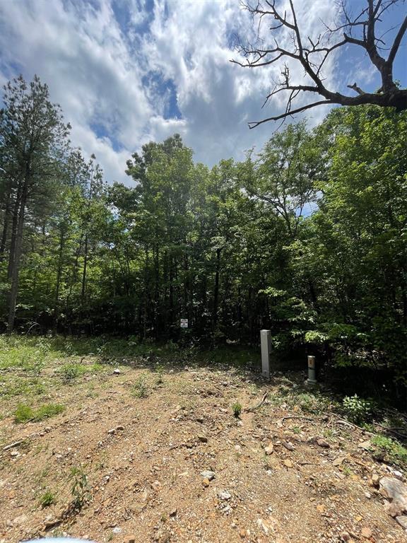 686 Timber Creek Trails South XI