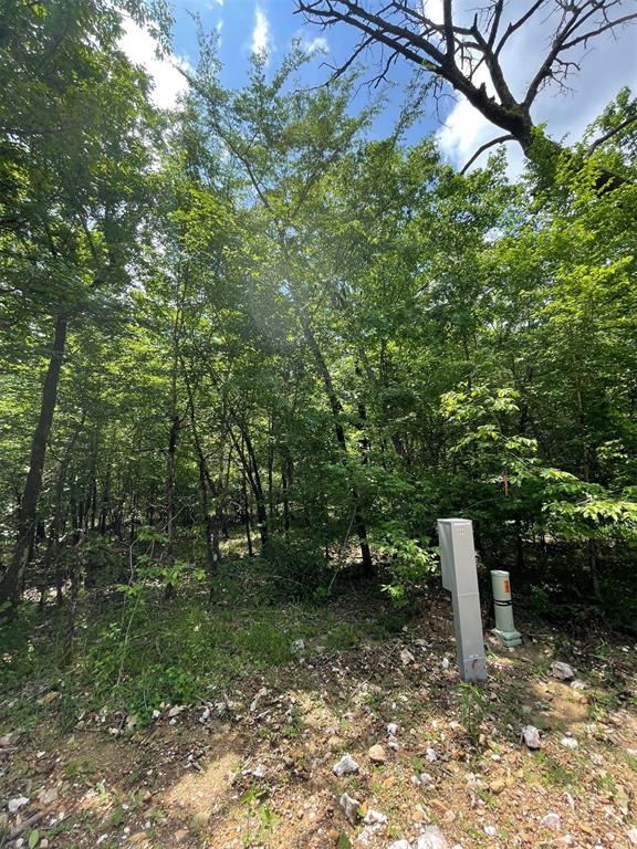 686 Timber Creek Trails South XI