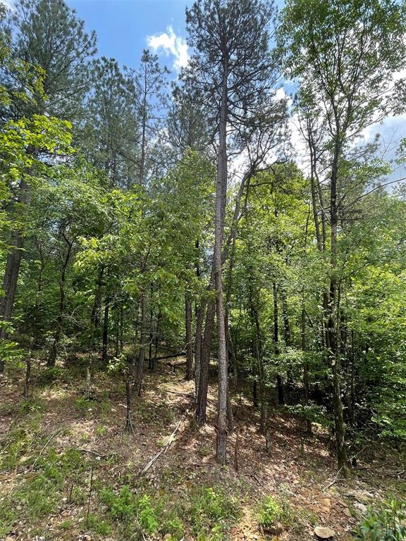 687 Timber Creek Trails South XI