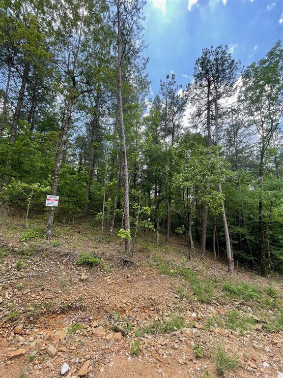 687 Timber Creek Trails South XI