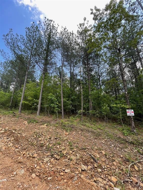 687 Timber Creek Trails South XI
