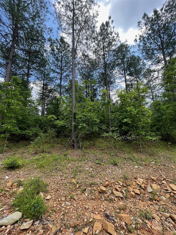 688 Timber Creek Trails South XI
