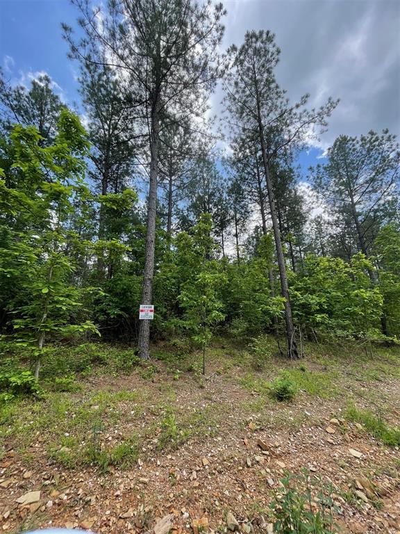 688 Timber Creek Trails South XI