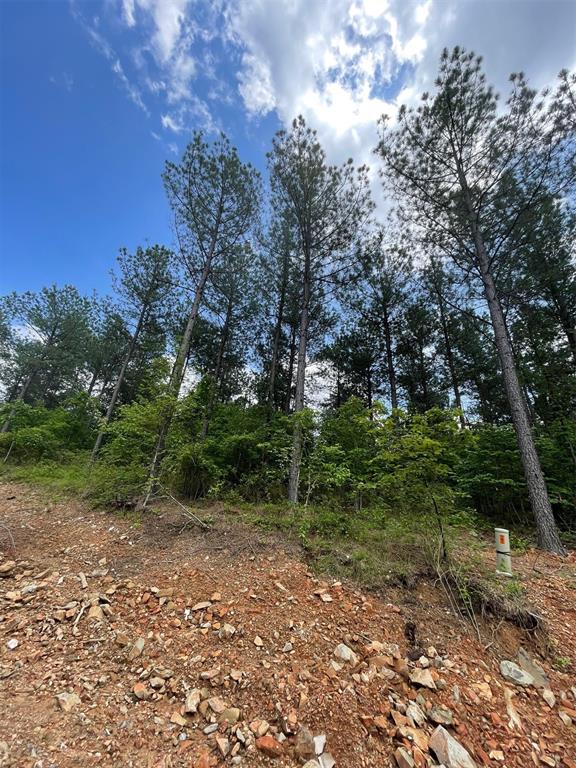 688 Timber Creek Trails South XI