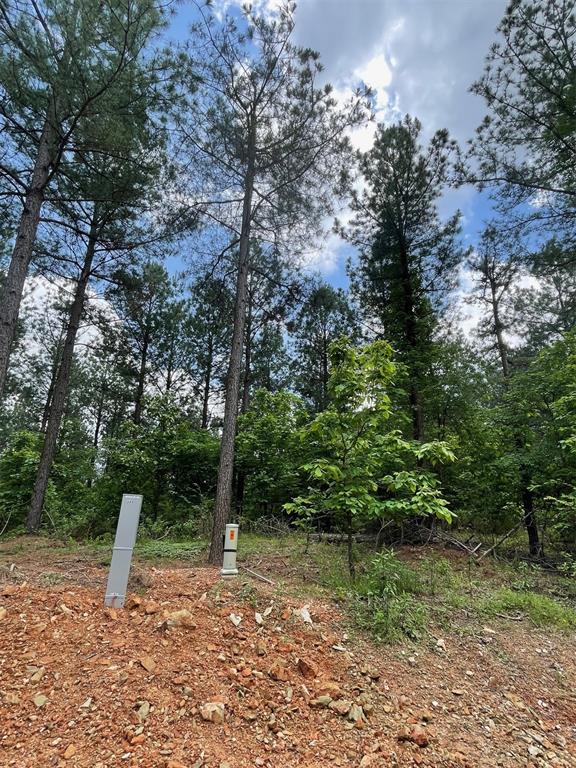 689 Timber Creek Trails South XI
