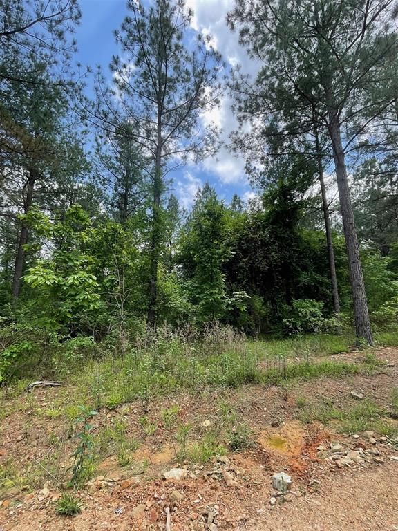 689 Timber Creek Trails South XI