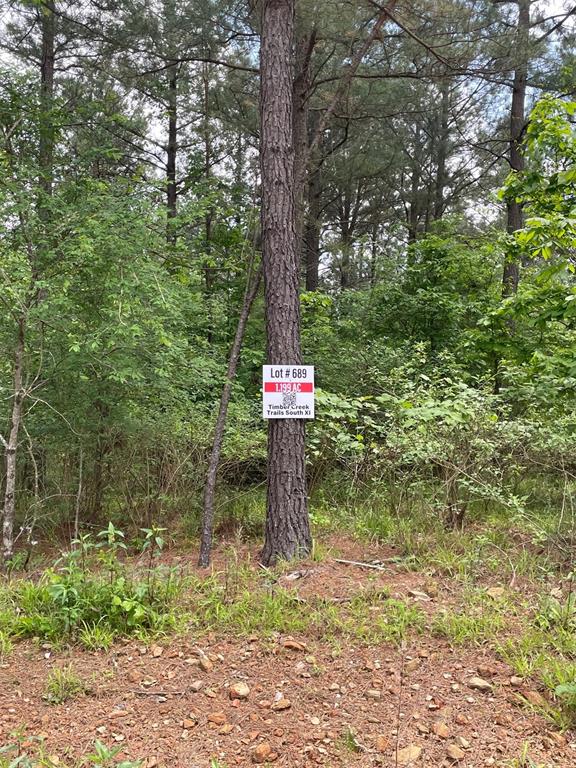 689 Timber Creek Trails South XI