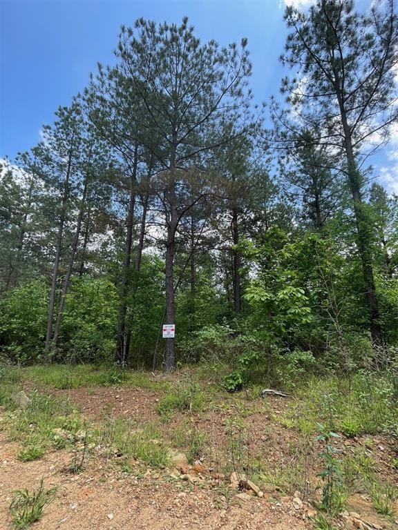 689 Timber Creek Trails South XI