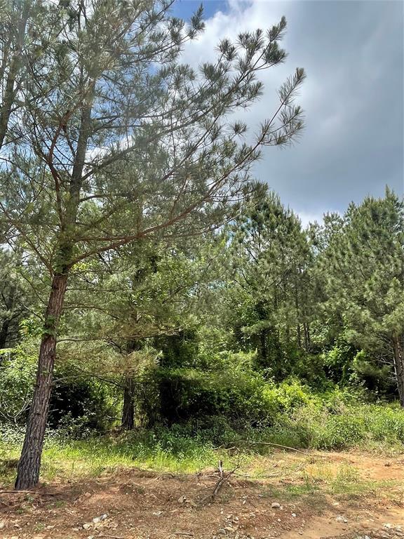 691 Timber Creek Trails South XI