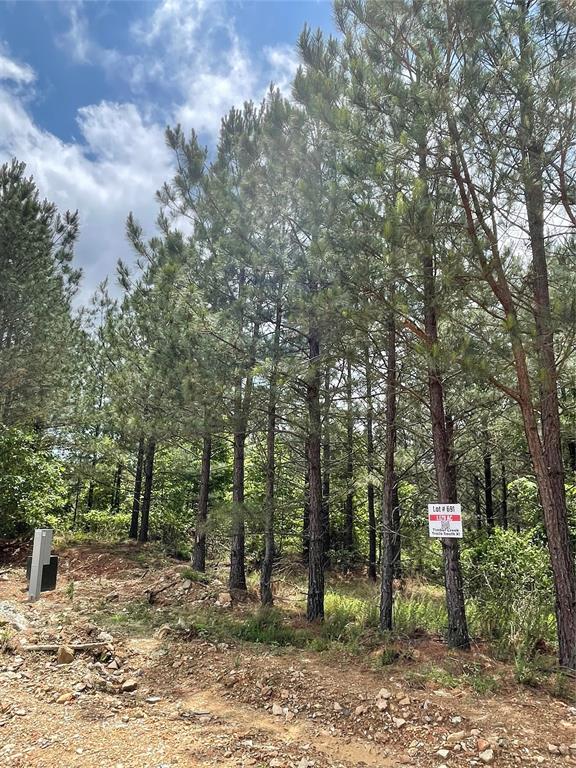 691 Timber Creek Trails South XI