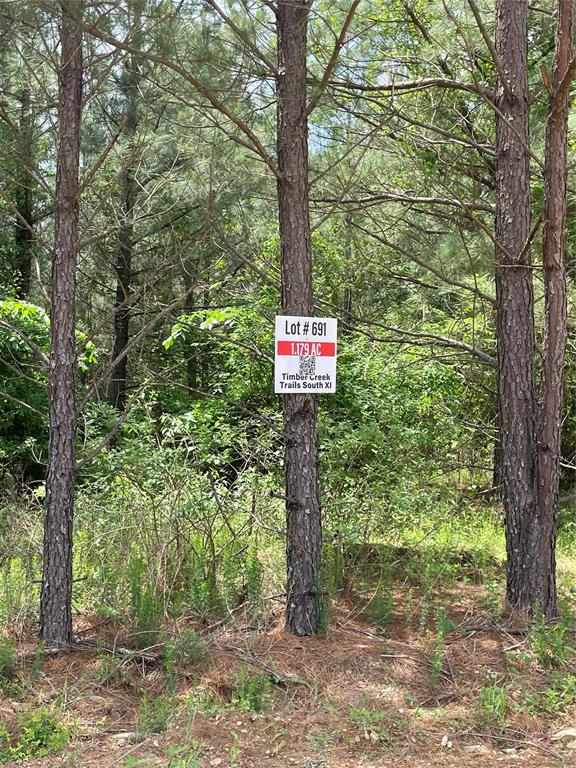 691 Timber Creek Trails South XI
