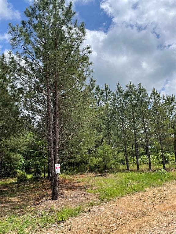 692 Timber Creek Trails South XI